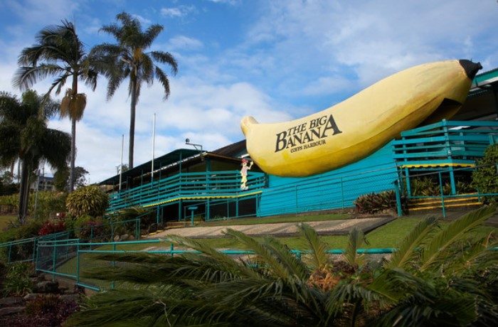 The Big Banana Photo