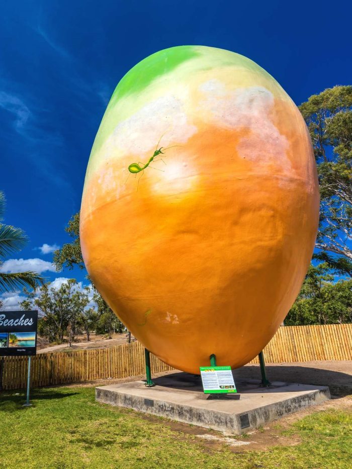The Big Mango Photo