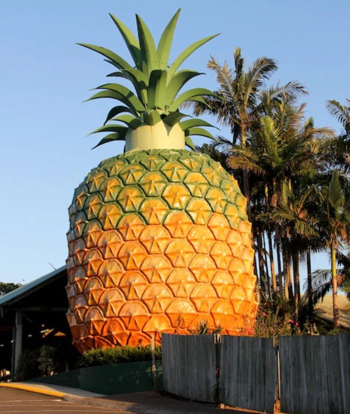 The Big Pineapple Photo