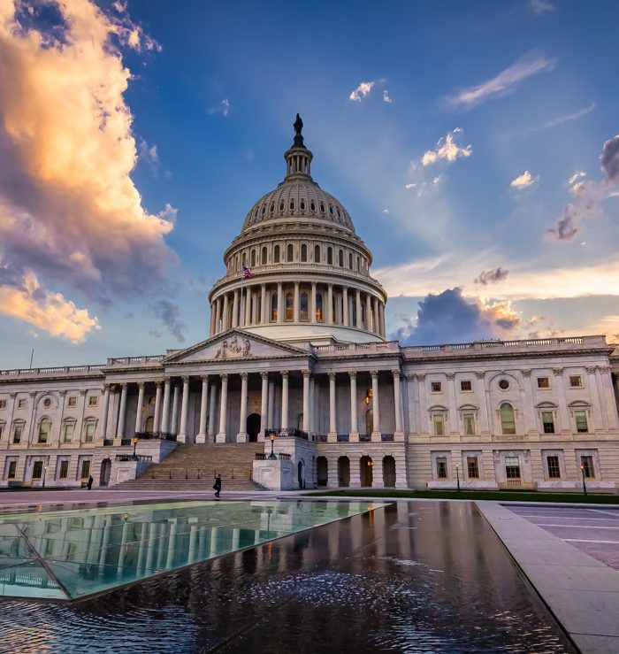 United States Capitol Photo 2